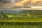 Langhe panorama, Barbaresco vineyards view at sunset, Piedmont, Italy Europe