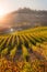 Langhe region, Piedmont, Italy. Autumn landscape