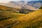 Langhe region, Piedmont, Italy. Autumn landscape