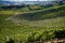 Langhe region, south Piemonte, Italy. Wine hills