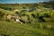 Langhe region, south Piemonte, Italy. Wine hills