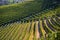 Langhe region, south Piemonte, Italy. Wine hills