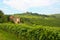 Langhe vineyards in Italy