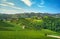Langhe vineyards panorama and Diano d Alba, Piedmont, Italy Europe