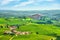 Langhe vineyards panorama, Roddi village, Piedmont, Italy Europe