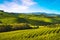 Langhe vineyards sunset panorama, Piedmont, Italy Europe