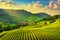 Langhe vineyards view, Barolo and La Morra, Piedmont, Italy Europe