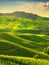Langhe vineyards view, Barolo and La Morra, Piedmont, Italy Europe