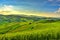 Langhe vineyards view, Castiglione Falletto and La Morra, Piedmont, Italy Europe