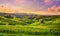 Langhe vineyards view, Castiglione Falletto and La Morra, Piedmont, Italy Europe