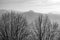 Langhe winter foggy panorama. Black and white photo