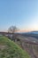 Langhe winter panorama. Color image
