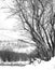 Langhe winter snowed panorama. Black and white photo