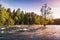 Langinkoski, natural photo background, summer