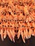 Langoustines, A Pink And Orange Army