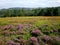 Langsett Resevoir in the Peak District National Park