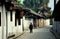 Langzhong, China: Ancient Houses & Pagoda