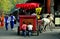 Langzhong, China: Horse Cart with Two Little Boys