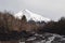 Lanin volcano, Patagonia