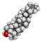 Lanosterol molecule. Investigated for treatment of cataract. 3D rendering. Atoms are represented as spheres with conventional