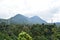 Lanscape beautri green leaf and two maountain panoramic from pangalengan bandung