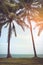 Lanscape of coconut palms on the troical beach. Vintage film eff