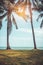 Lanscape of coconut palms on the troical beach. Vintage film eff