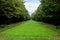 Lanscape with the main alley with vivid green plants, green lime trees and grass in a sunny summer day in Cismigiu Garden in