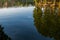 Lanscape silhouette of trees in the forest lake at sun