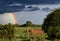 Lanscape after storm on savanna, African red elephants under rainbow, big stormy clouds