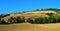 lanscape in tuscany with cypress