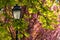 Lantern against blossom and foliage