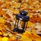 Lantern in bright autumn leafes