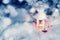 Lantern with a burning candle under a snow-covered Christmas tree in the courtyard of the house in the snowdrifts