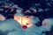 Lantern with a burning candle under a snow-covered Christmas tree in the courtyard of the house in the snowdrifts