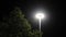 Lantern burning on a pole at night in the park. Stock footage. Glowing modern lantern in the Park at night