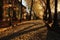 a lantern casting long shadows on a cobblestone park path