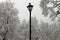 Lantern, covered with snow between the frosty trees