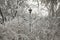 Lantern, covered with snow between the frosty trees