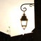 A lantern illuminates the evening