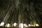 Lantern light display in a bamboo forest for the night illumination festival in Kyoto, Japan