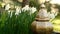 lantern Mubarak and daffodils flowers.Religious muslim spring background.
