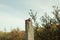 Lantern on a reinforced concrete column in the forest