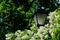 Lantern spring decoration lamp burning light park lilac flower garden, for lowers darkness in cozy for ranches gardening