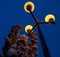 Lanterns burning on a pole at night in the park