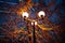 Lanterns burning on a pole at night in the park