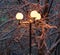 Lanterns burning on a pole at night in the park