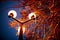 Lanterns burning on a pole at night in the park