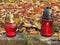 Lanterns on the grave in autumn