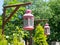 Lanterns over a tombstone in the public cemetery